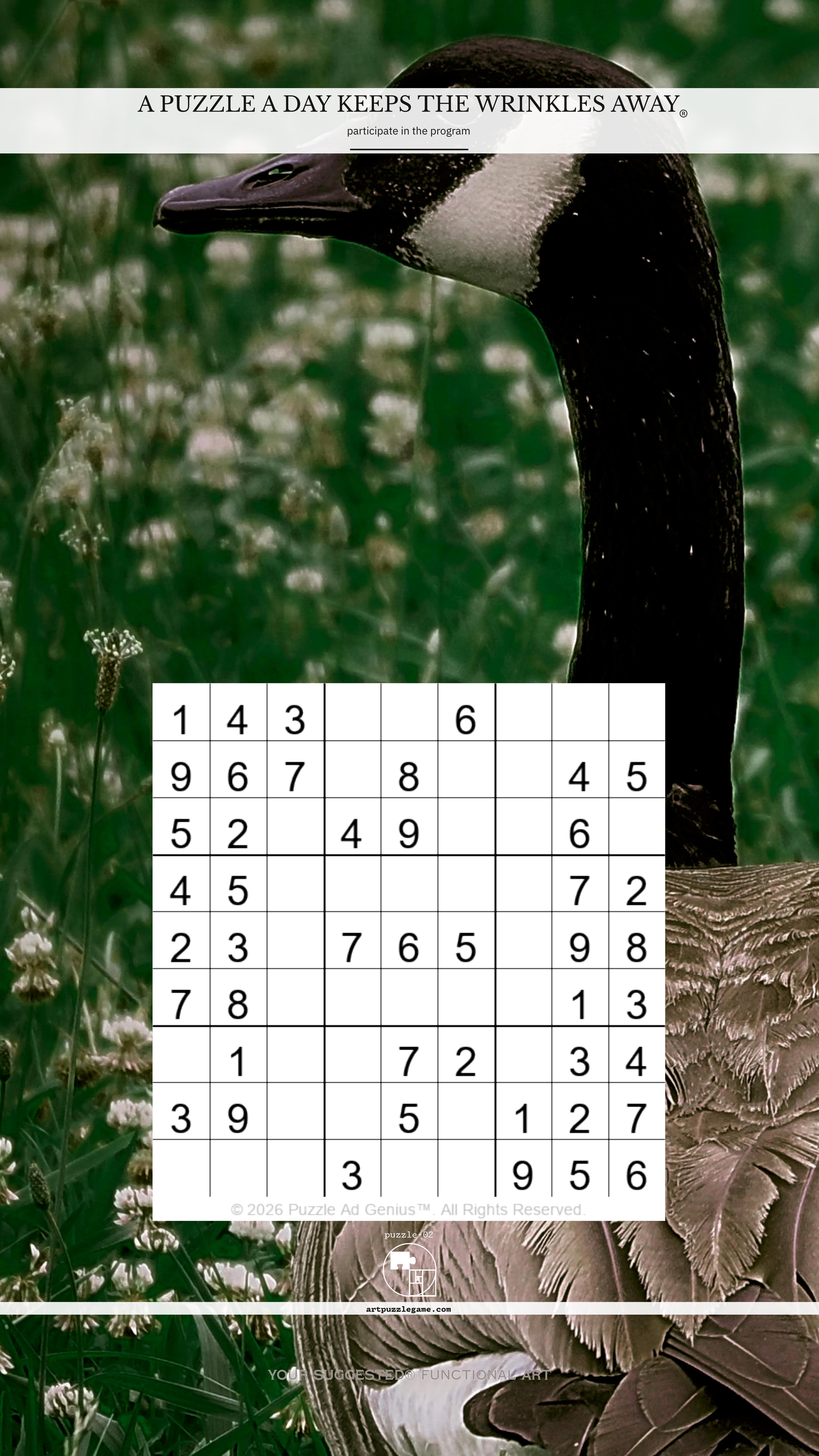 Art Puzzle Game 02