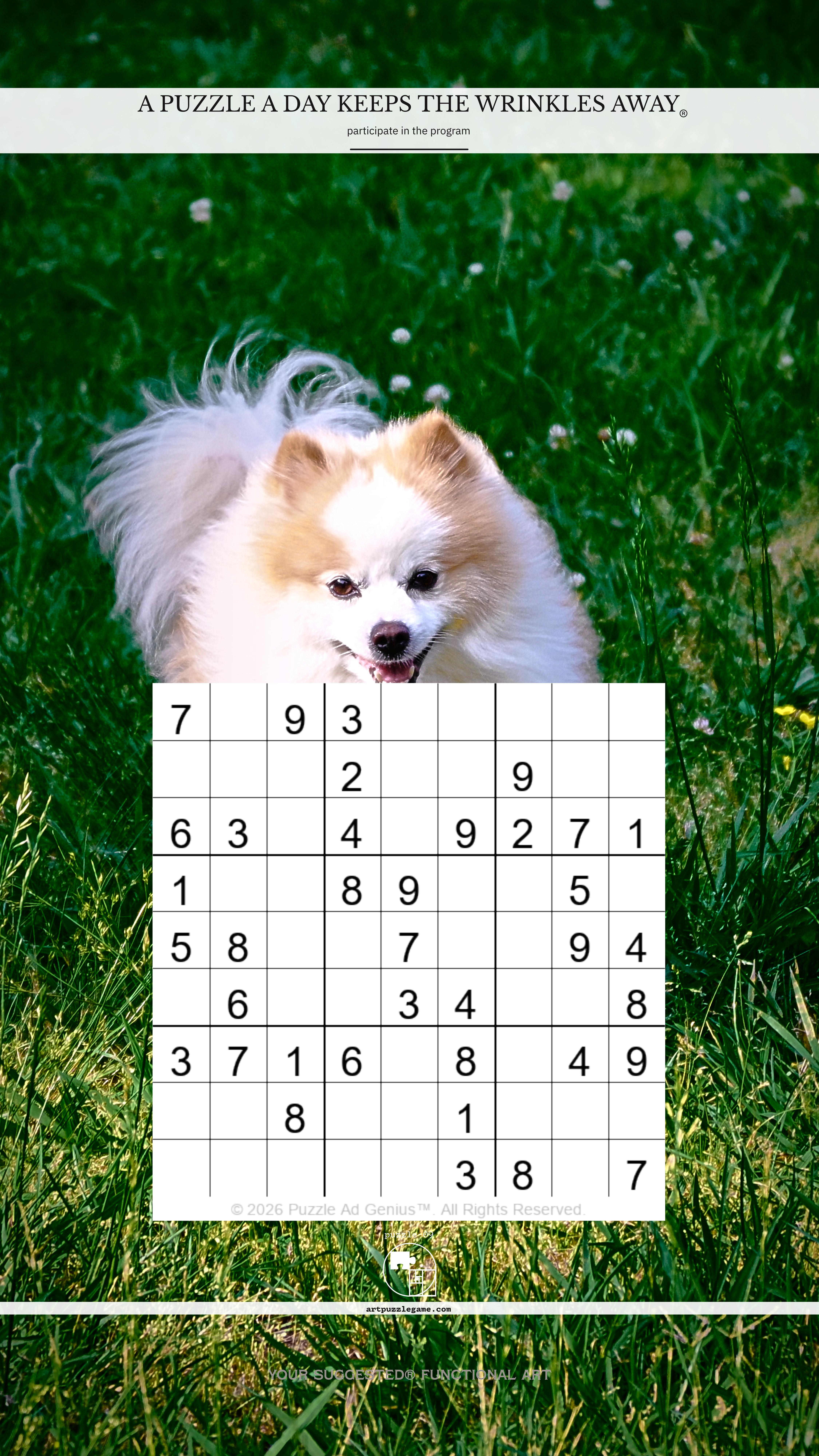 Art Puzzle Game 09