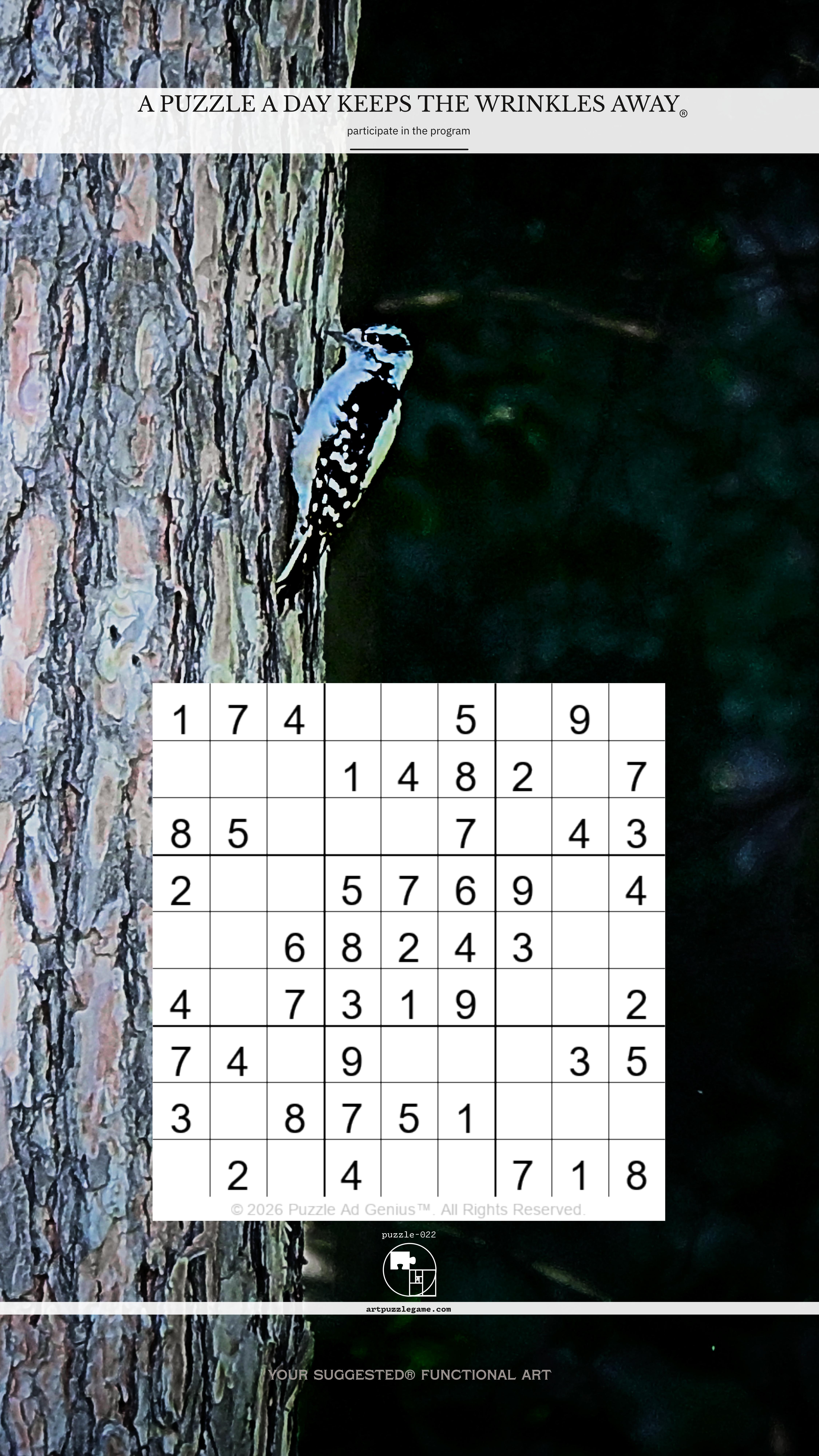 Art Puzzle Game 22