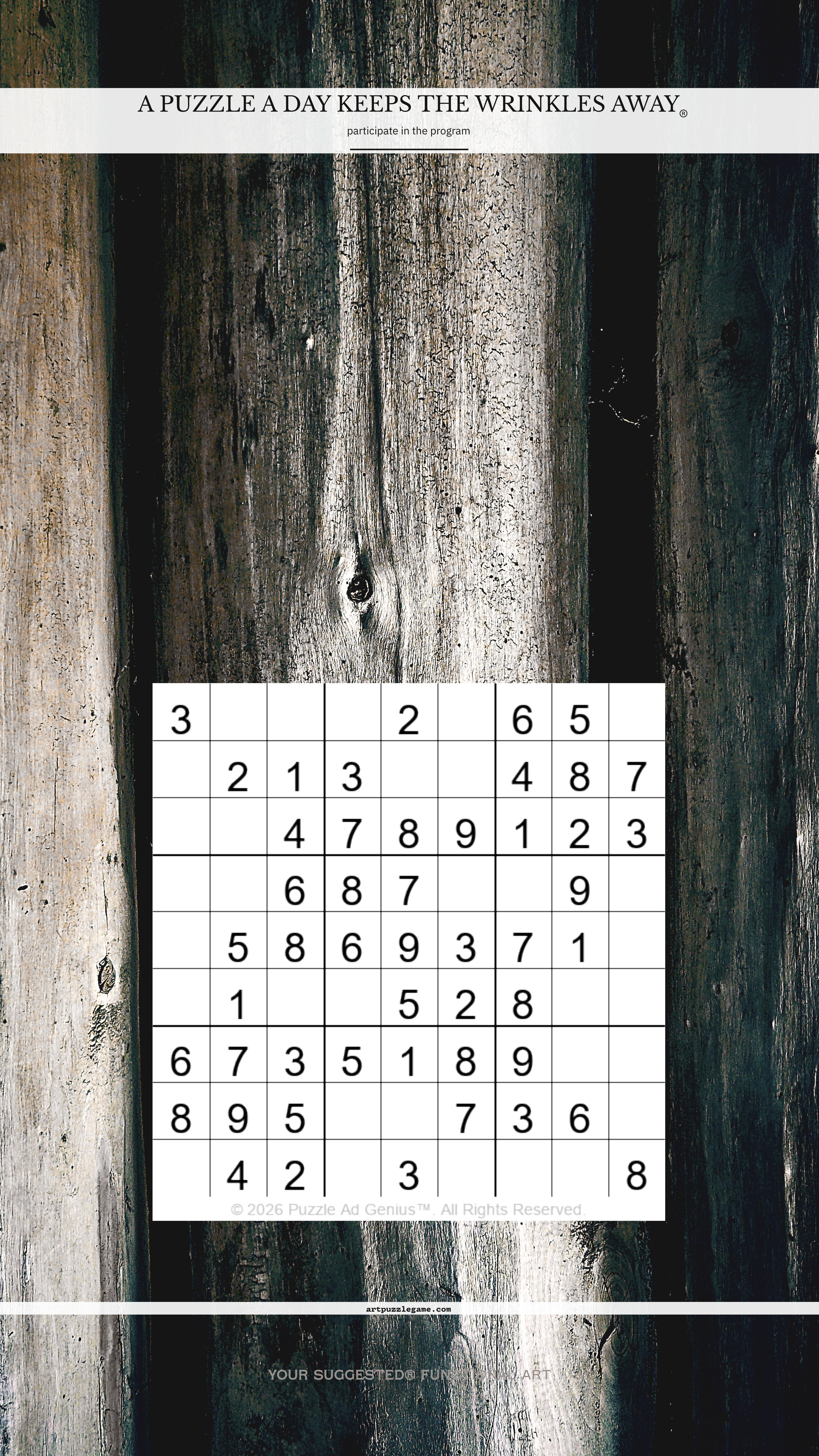 Art Puzzle Game 28